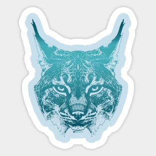 Lynx - Turquoise Sticker